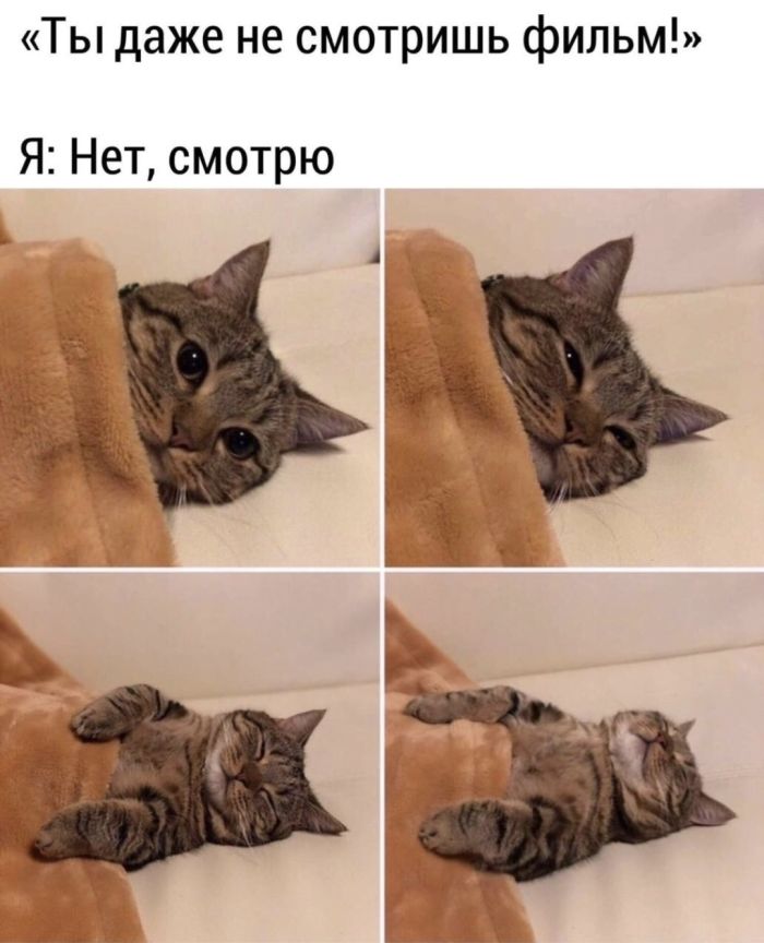 ������ ���� � ������� ��� ���������� (27 ����)