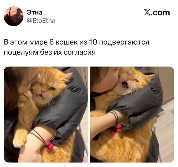 �������� ������ �������� ��� ���������� (30 ����)