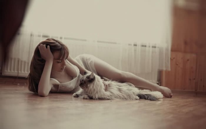 ������������ ������ ����� ������� (35 ����)