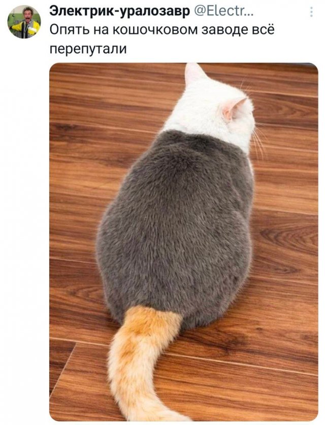 ���� � ������� ��� ��������� ���������� (35 ����)