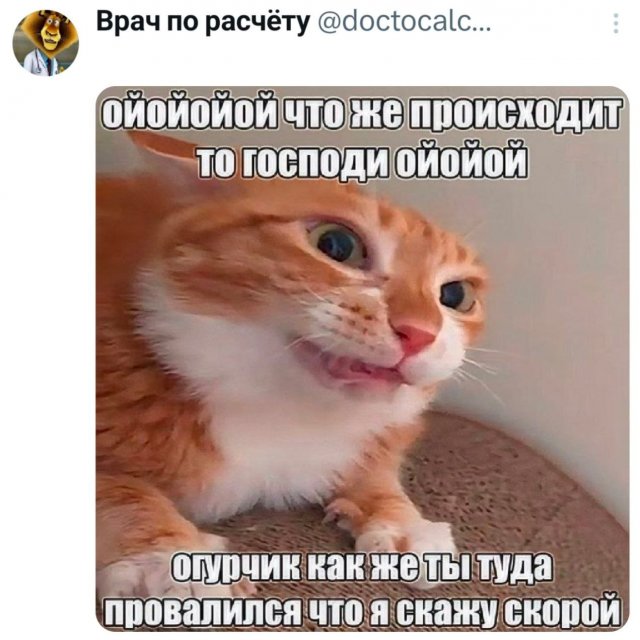 ���� � ������� ��� ��������� ���������� (35 ����)