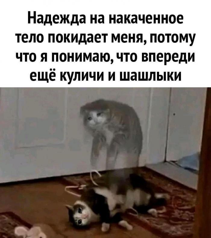 ���� � ������� ��� ��������� ���������� (35 ����)