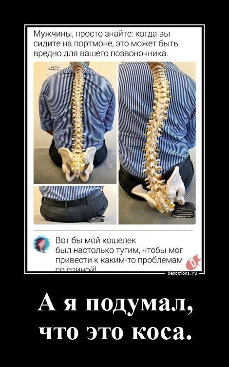 ������������ �������� (16 ����)