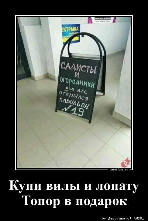 ������������ �������� (16 ����)