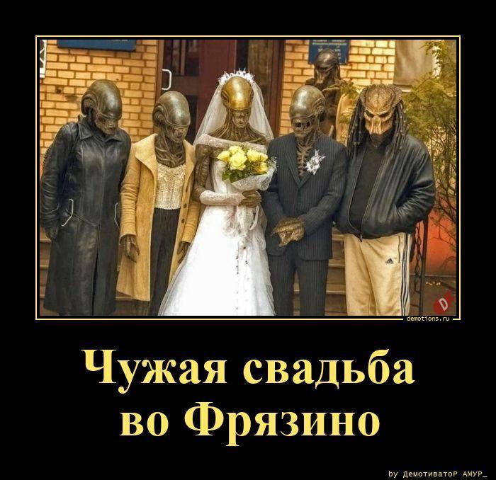 ������������ �������� (16 ����)