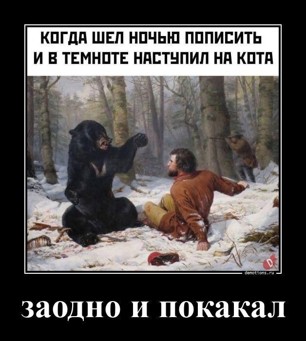 ������������ �������� (16 ����)