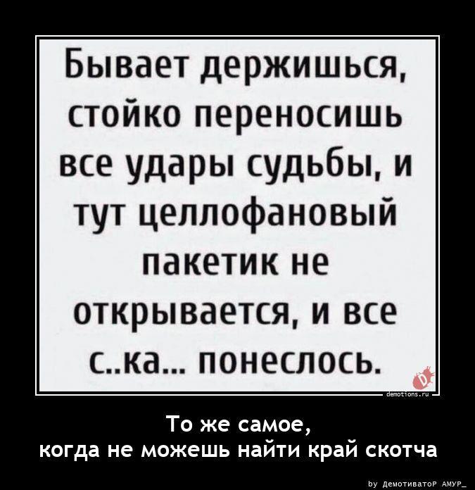 ������������ �������� (16 ����)