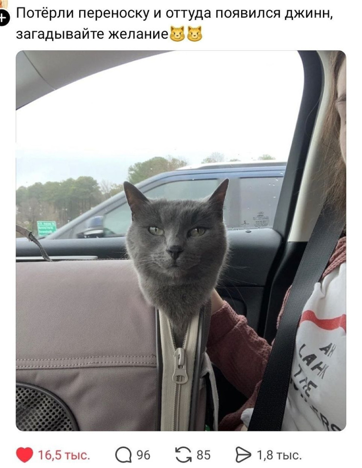 �������� ����� ����� �� ���� (32 ����)