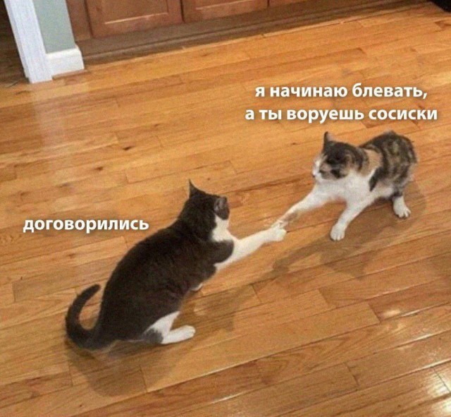 �������� ����� ����� �� ���� (32 ����)