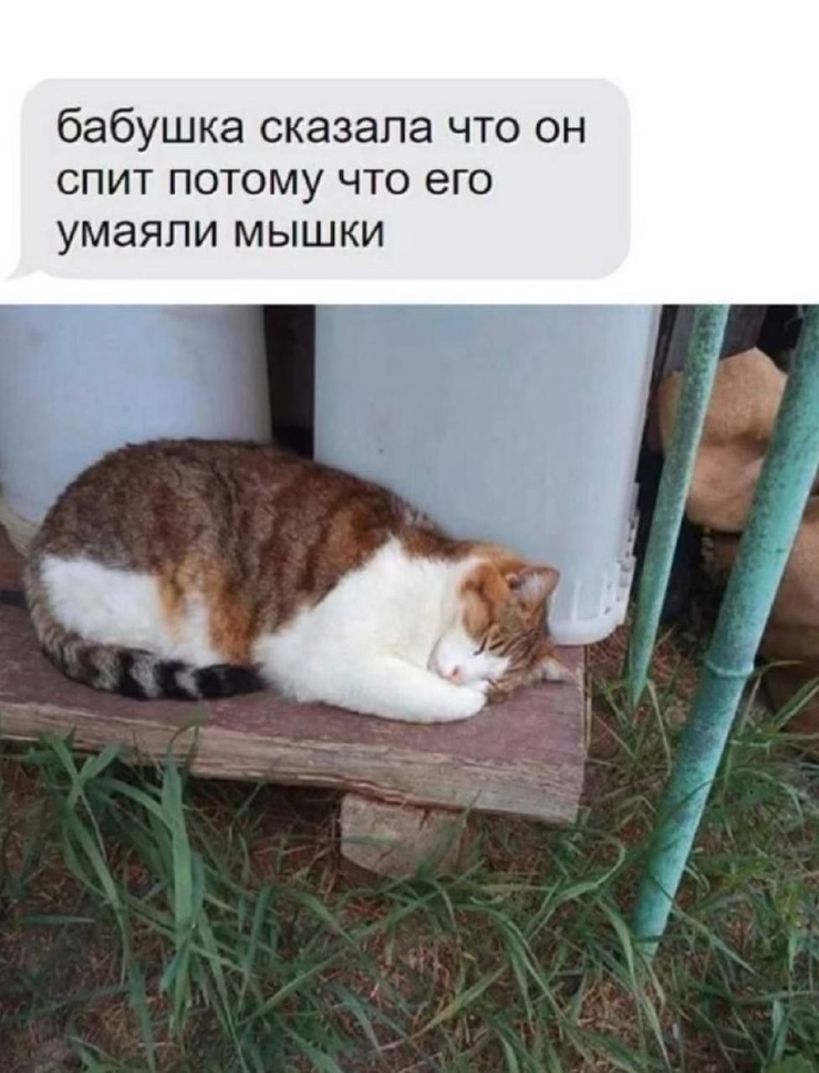 �������� ����� ����� �� ���� (32 ����)