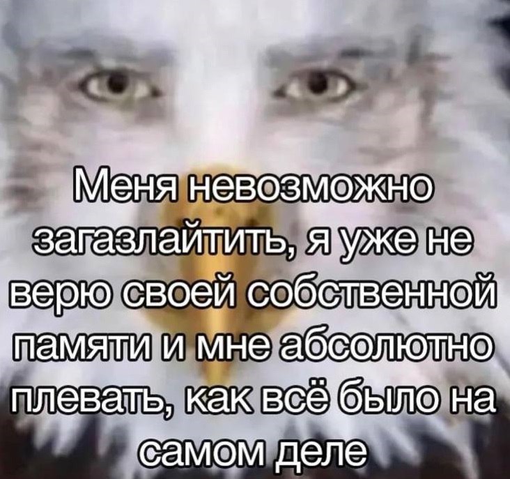 �������� ����� ����� �� ���� (32 ����)