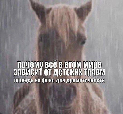 ������ ���� � ������� ��� ���������� (25 ����)