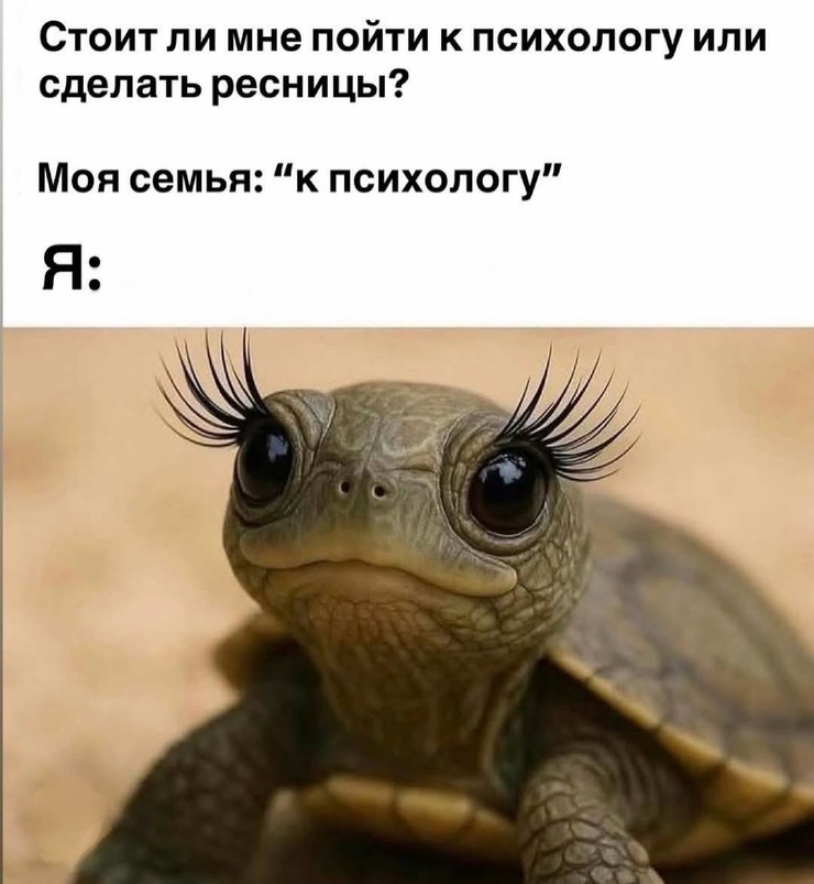 ������ ���� � ������� ��� ���������� (25 ����)