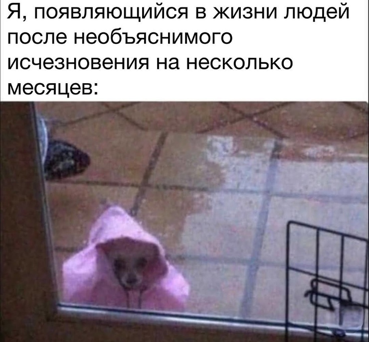 ������ ���� � ������� ��� ���������� (25 ����)