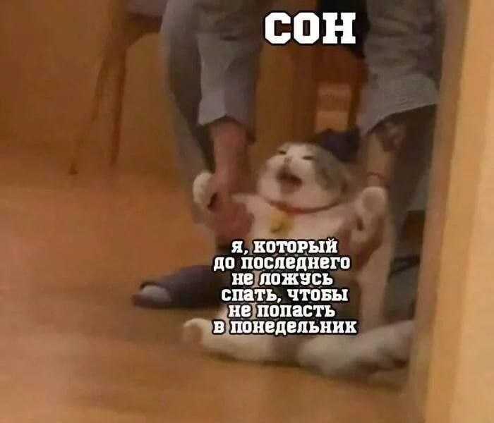 ������ ���� � ������� ��� ���������� (25 ����)