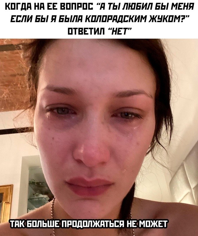 ���������! ������� ���� ��� ���������� (24 ����)