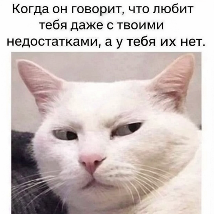 ���������! ������� ���� ��� ���������� (24 ����)