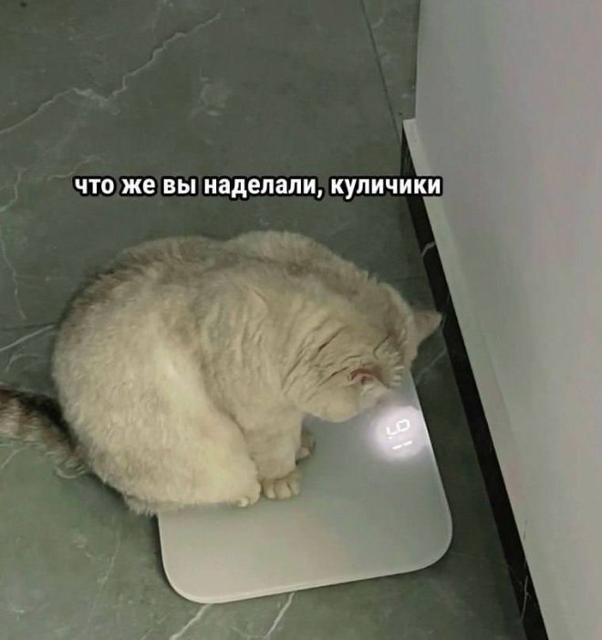 ���������! ������� ���� ��� ���������� (24 ����)