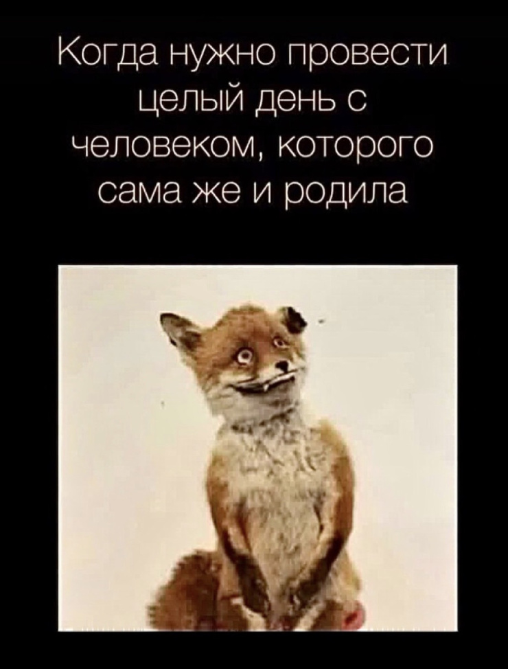 ���������! ������� ���� ��� ���������� (24 ����)