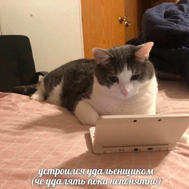 ���������! ������� ���� ��� ���������� (24 ����)