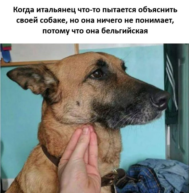 ���������! ������� ���� ��� ���������� (24 ����)