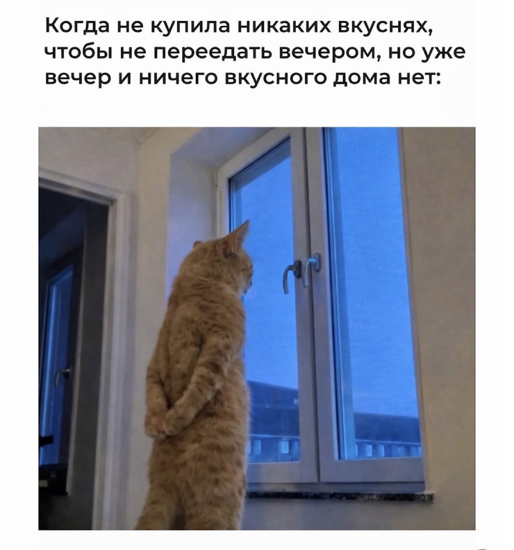 ���������! ������� ���� ��� ���������� (24 ����)