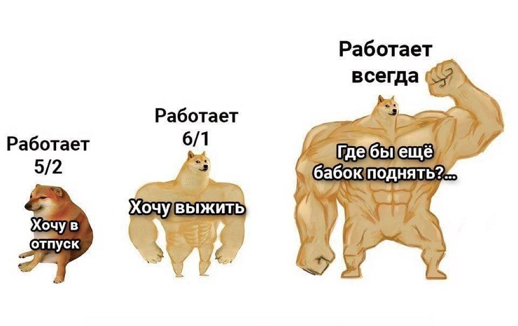 ������ ���� � ������� ��� ���������� (26 ����)