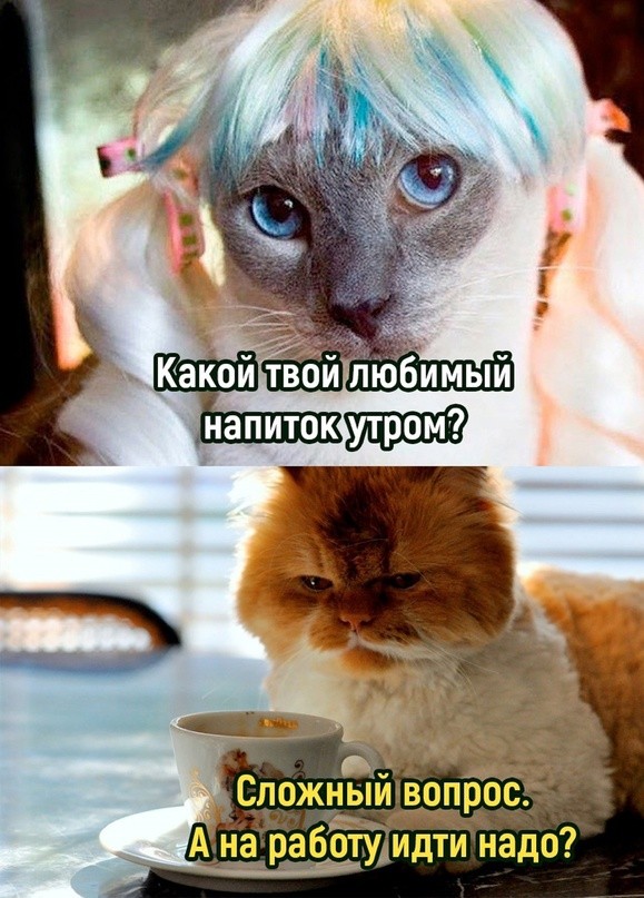 ������ ���� � ������� ��� ���������� (26 ����)