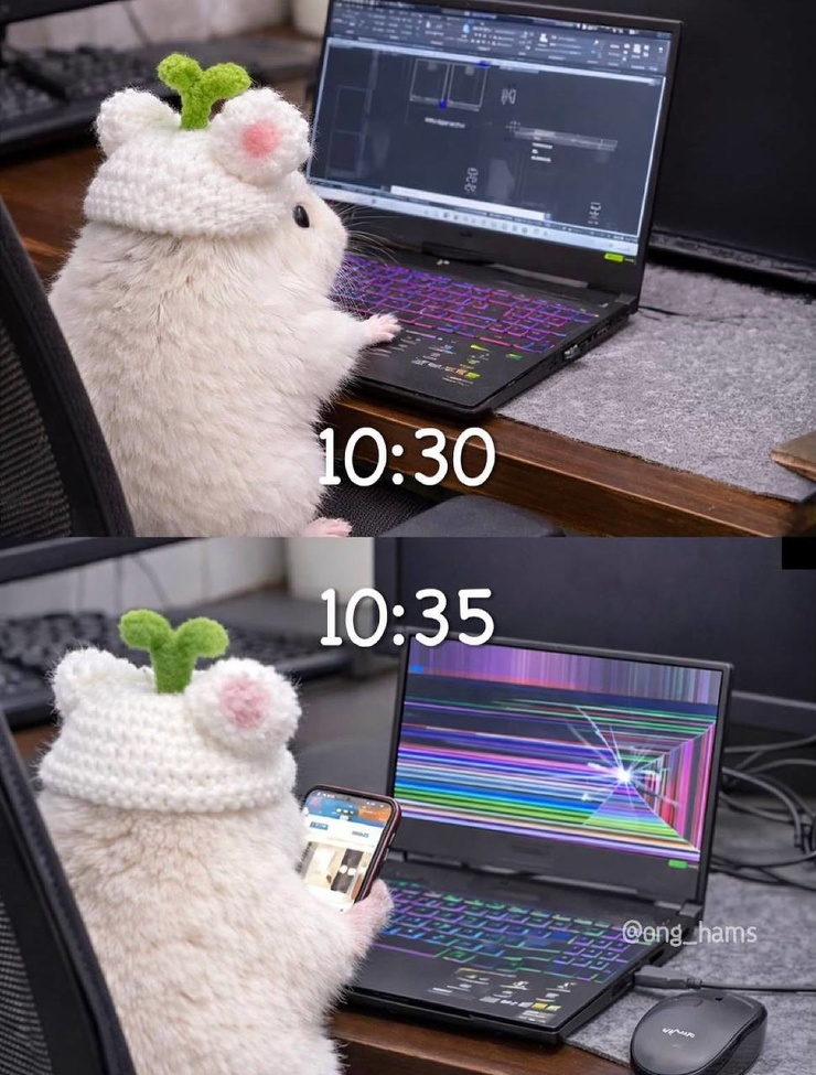 ������ ���� � ������� ��� ���������� (26 ����)