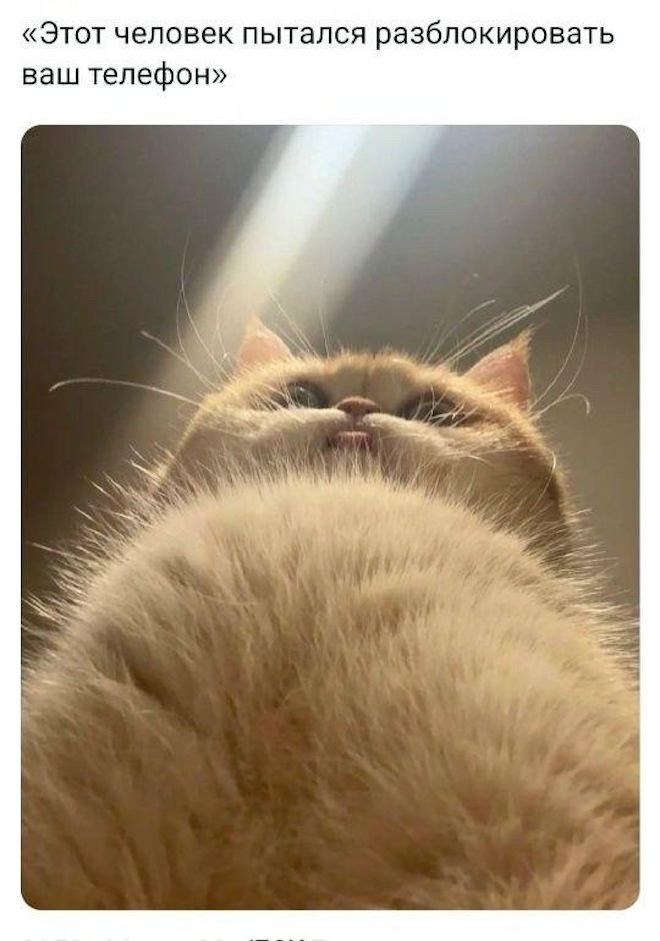 ������ ���� � ������� ��� ���������� (26 ����)