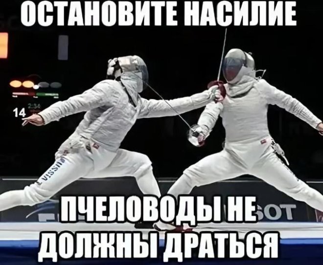 ������ ���� � ������� ��� ���������� (26 ����)