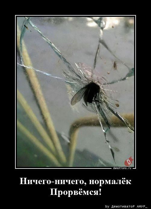 ������������ ������������ (20 ����)