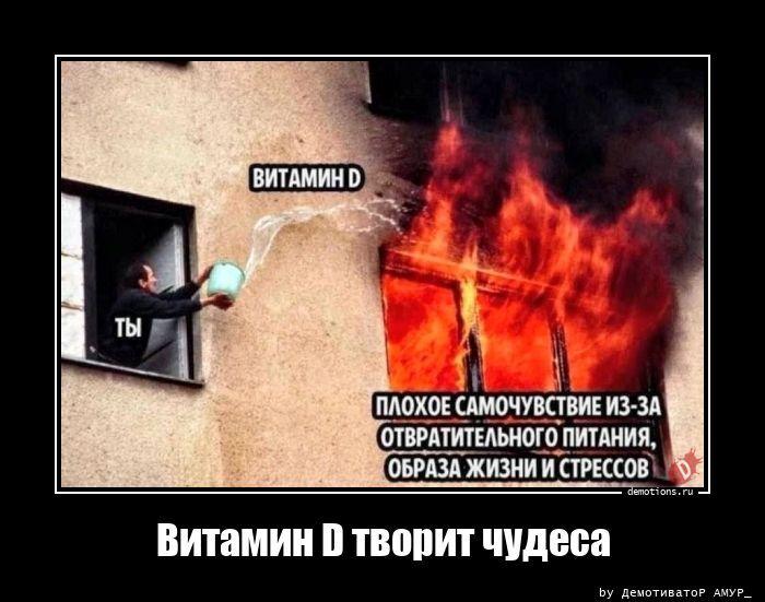 ������������ ������������ (20 ����)