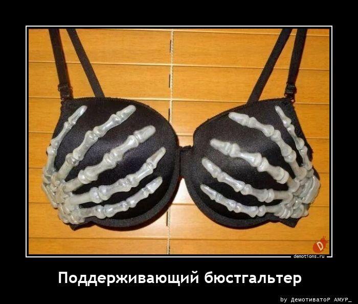 ������������ ������������ (20 ����)