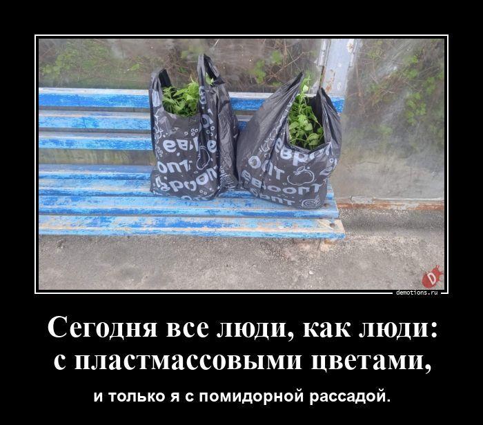 ������������ ������������ (20 ����)