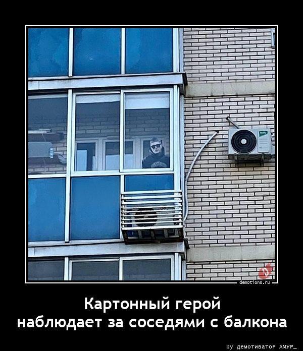 ������������ ������������ (20 ����)