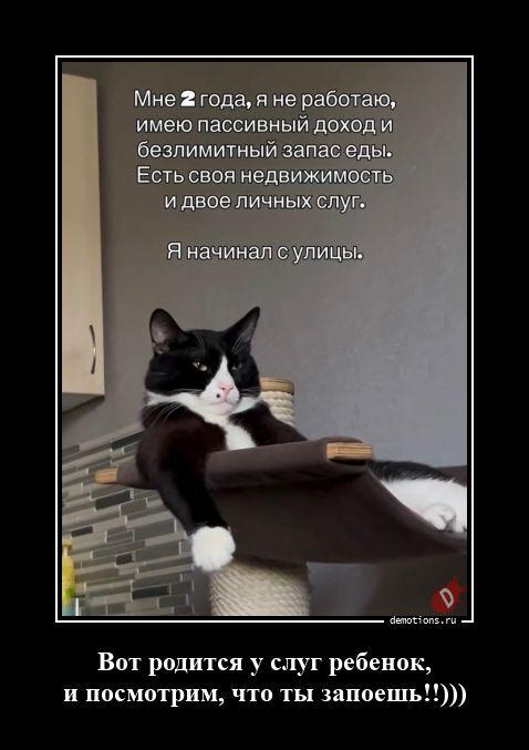 ������������ ������������ (20 ����)