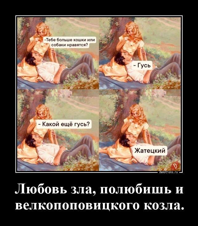 ������������ ������������ (20 ����)