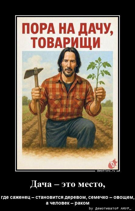 ������������ ������������ (20 ����)