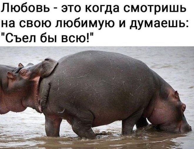������ �������� �������� � ����� (23 ����)