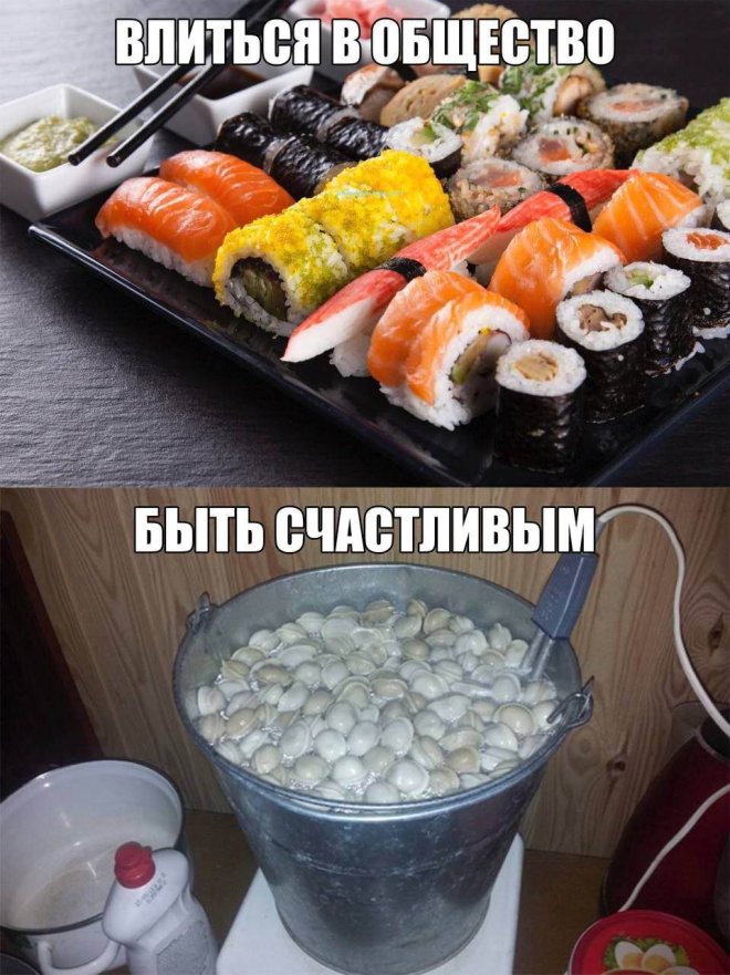 ������ �������� �������� � ����� (23 ����)