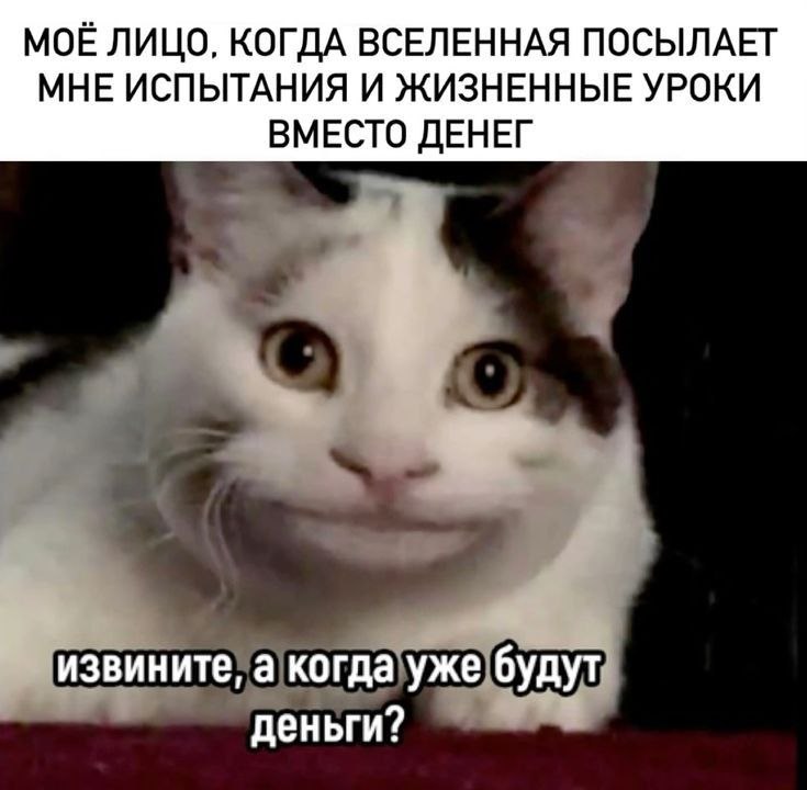 �������� �������� ��� ���������� (30 ����)