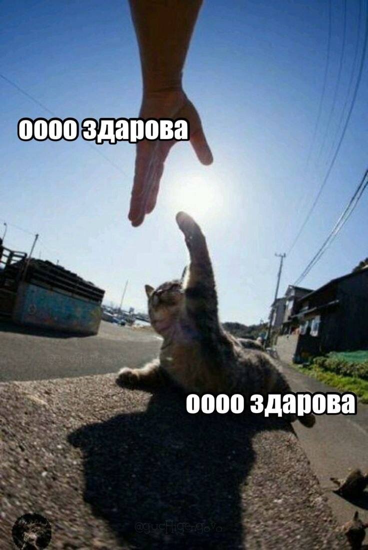 �������� �������� ��� ���������� (30 ����)