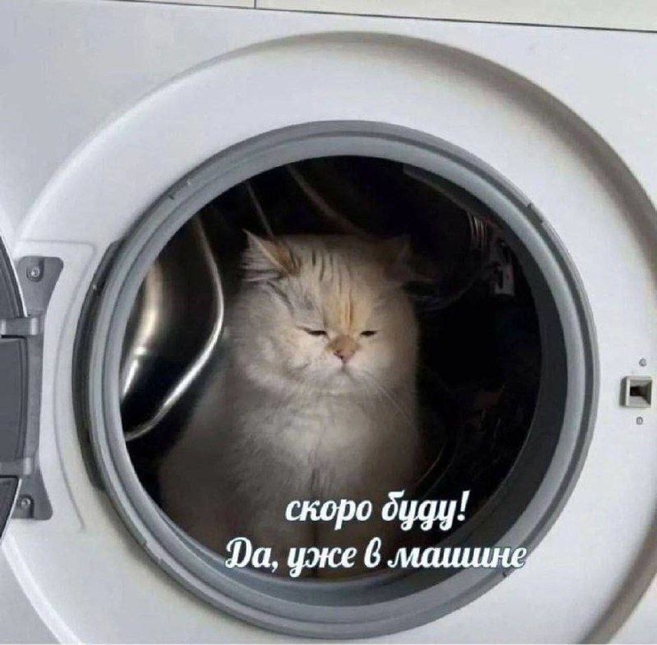 �������� �������� ��� ���������� (30 ����)