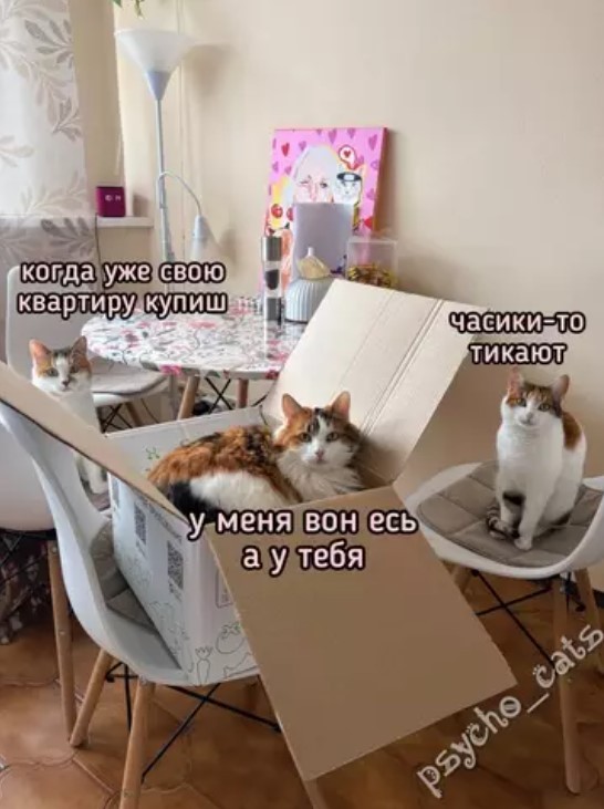 ������� � ���� ��� ���������� (30 ����)