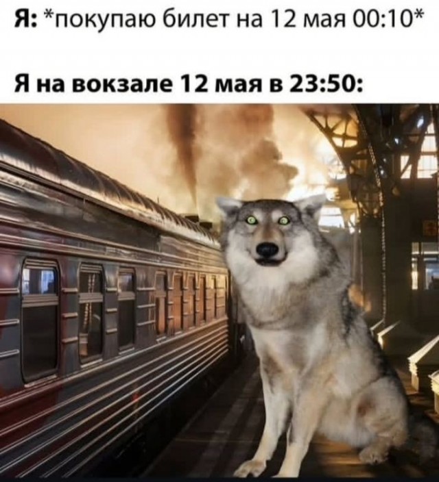 ������� � ���� ��� ���������� (30 ����)