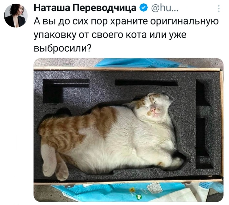 ������� � ���� ��� ���������� (30 ����)