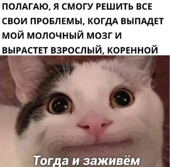 ������� � ���� ��� ���������� (30 ����)