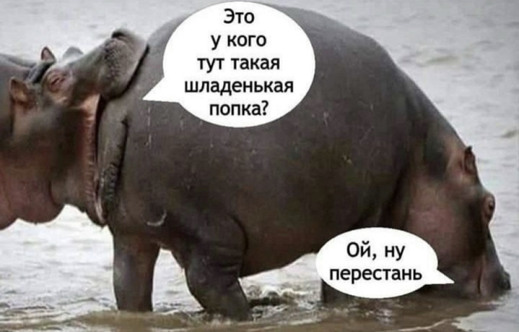 ������� � ���� ��� ���������� (30 ����)