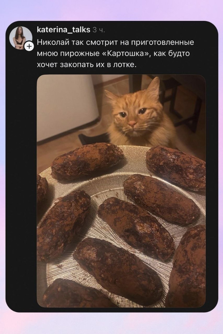 ������ ������� � ���� �� ���� (35 ����)